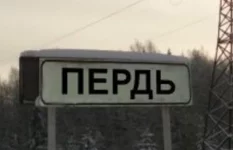 5ffjfh.webp