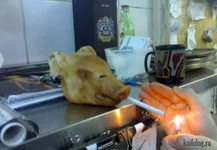 4dceeg.webp