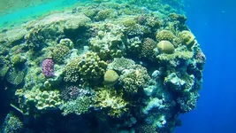 7eaccc.webp