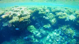e5eabg.webp