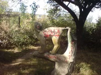 DSC00064.webp