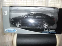 SDC16021.webp