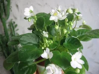 Milky Way Trail_1607.webp