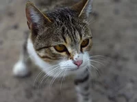IMGP9233_zon.webp