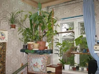 IMG_6324-1.webp
