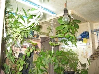 IMG_6325-1.webp