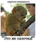 Picture-03.jpg