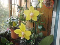 -0281.webp