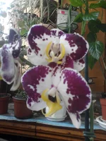 -0280_e2.webp