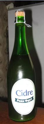 .webp