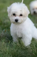 _DSC5263.webp