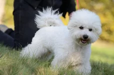 _DSC5285.webp