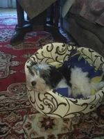 bg6dje.webp