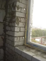 P9020863.webp