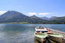 Serenade-315_новый размер.webp