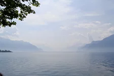 Serenade-562_новый размер.webp