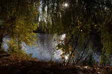 IMG_4779_новый размер.webp