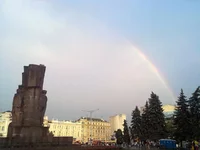 41269491.webp