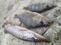 221020111352.webp