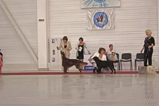 IMG_8570.webp