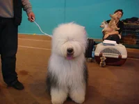 DSC04579.webp