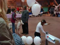 DSC04581.webp