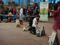 DSC04585.webp