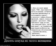 345329_desyat-sekund-iz-mozga-zhenschinyi.jpg