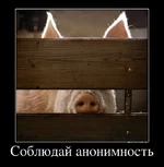 268976_soblyudaj-anonimnost.webp