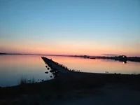 jh7ggc.webp
