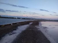 hhejf8.webp