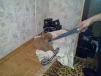 20111025_009.jpg