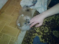 20111025_007.jpg