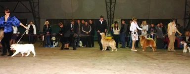 -Воронеж 2011 октябрь 038.webp