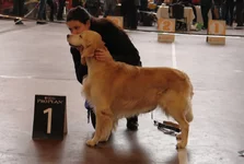 -Воронеж 2011 октябрь 248.webp