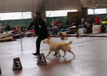 -Воронеж 2011 октябрь 151.webp