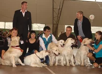 -Воронеж 2011 октябрь 220.webp