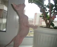DSC06277.webp