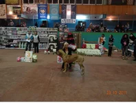 DSC00694.webp