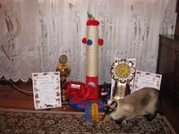 IMG_6703.webp