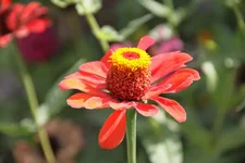 IMG_19477.webp