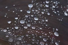 DSC07685_.webp