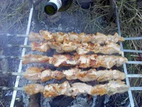 DSC-796863972.webp
