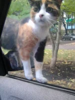 agbj8d.webp