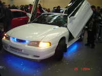 DSC03604.webp