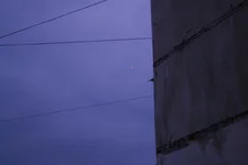 IMGP4303.webp