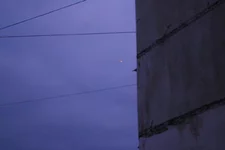 IMGP4305.webp