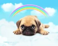 361509_020610_73_ArtFile_ru.webp