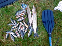 19102011158.webp