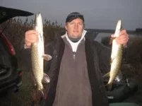 IMG_2006.jpg